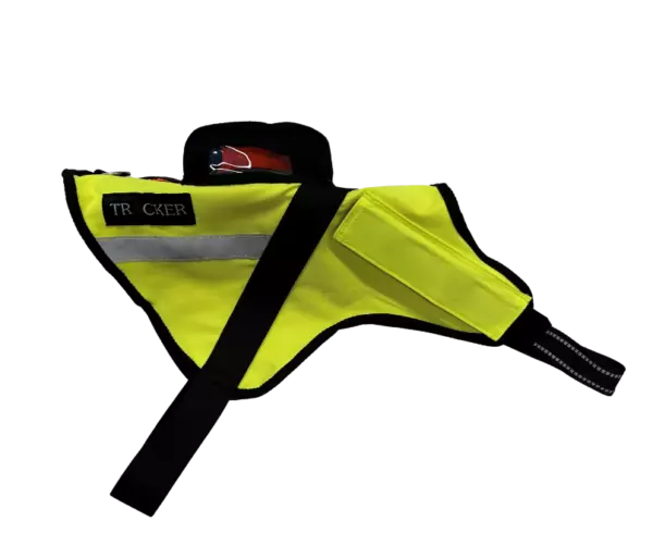 gallery-16-for-2144-100071