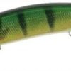 DUO Realis Jerkbait 100 Pike CCC3864 Perch ND