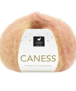 Caness - Fruity Honey 501