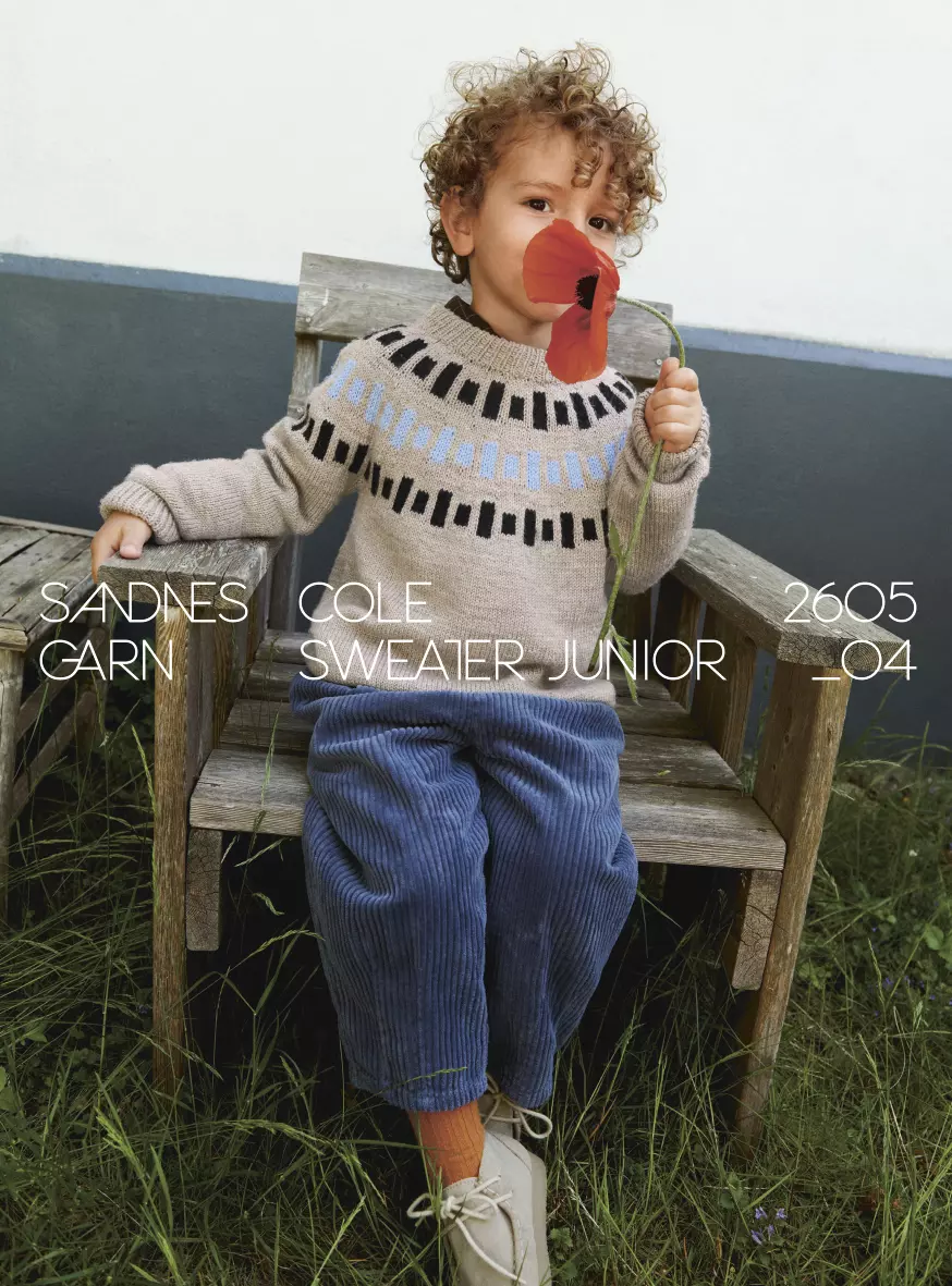 2605 Nr. 4 - Cole Sweater Junior
