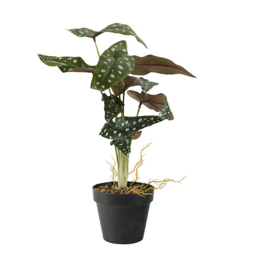 Dotted Begonia - Kunstig Plante
