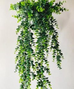 Hengeplante - 66cm