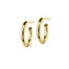 Hoops Earrings - Gold