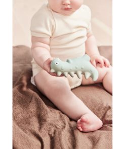 Theo Dino Teether