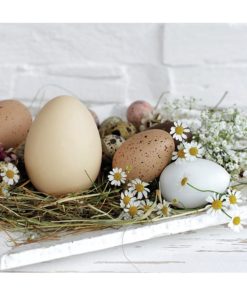Lunsjserviett "Pastel Eggs"