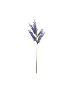 Lavendel Stilk