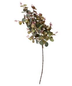 Eucalyptus Stilk - 70cm