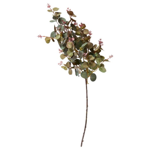 Eucalyptus Stilk - 70cm