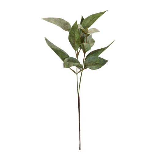 Eucalyptus Gren - 38cm