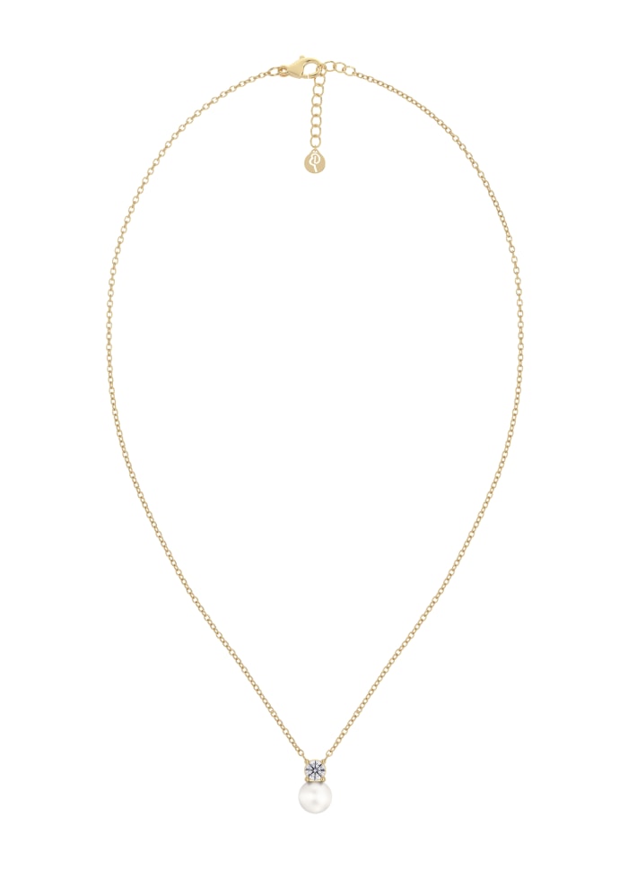 gallery-43554-for-125510