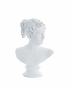 gallery-43660-for-125591