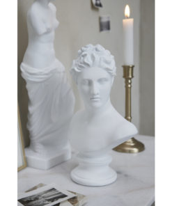 gallery-43659-for-125591