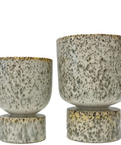 gallery-43780-for-125711