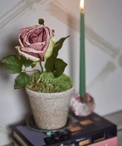 gallery-43872-for-125832