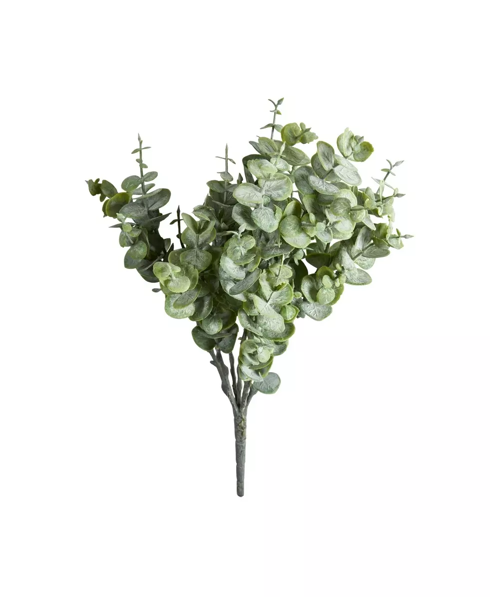 Eucalyptus Stilk 28cm