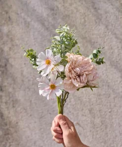 gallery-43874-for-125833