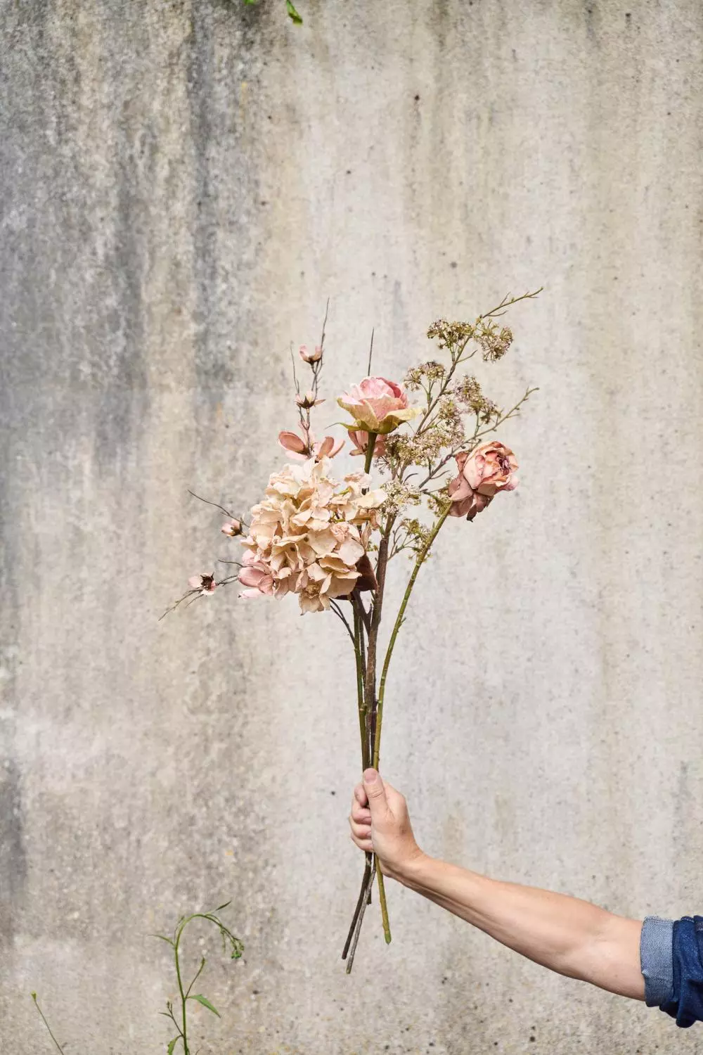 gallery-43878-for-125838