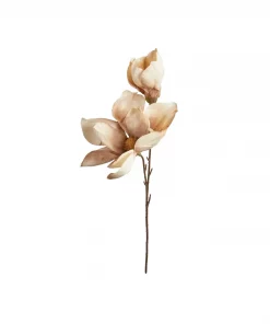 Mgnolia Stilk - Dusty Rose