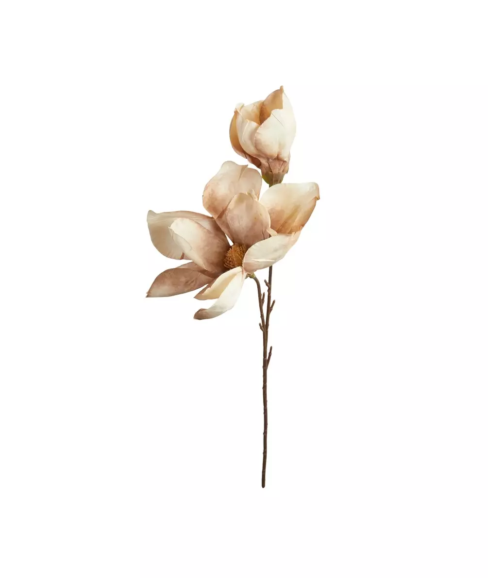 Mgnolia Stilk - Dusty Rose