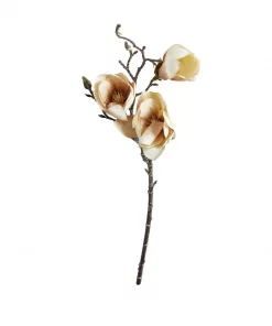 Magnoliagren - Dusty Rose