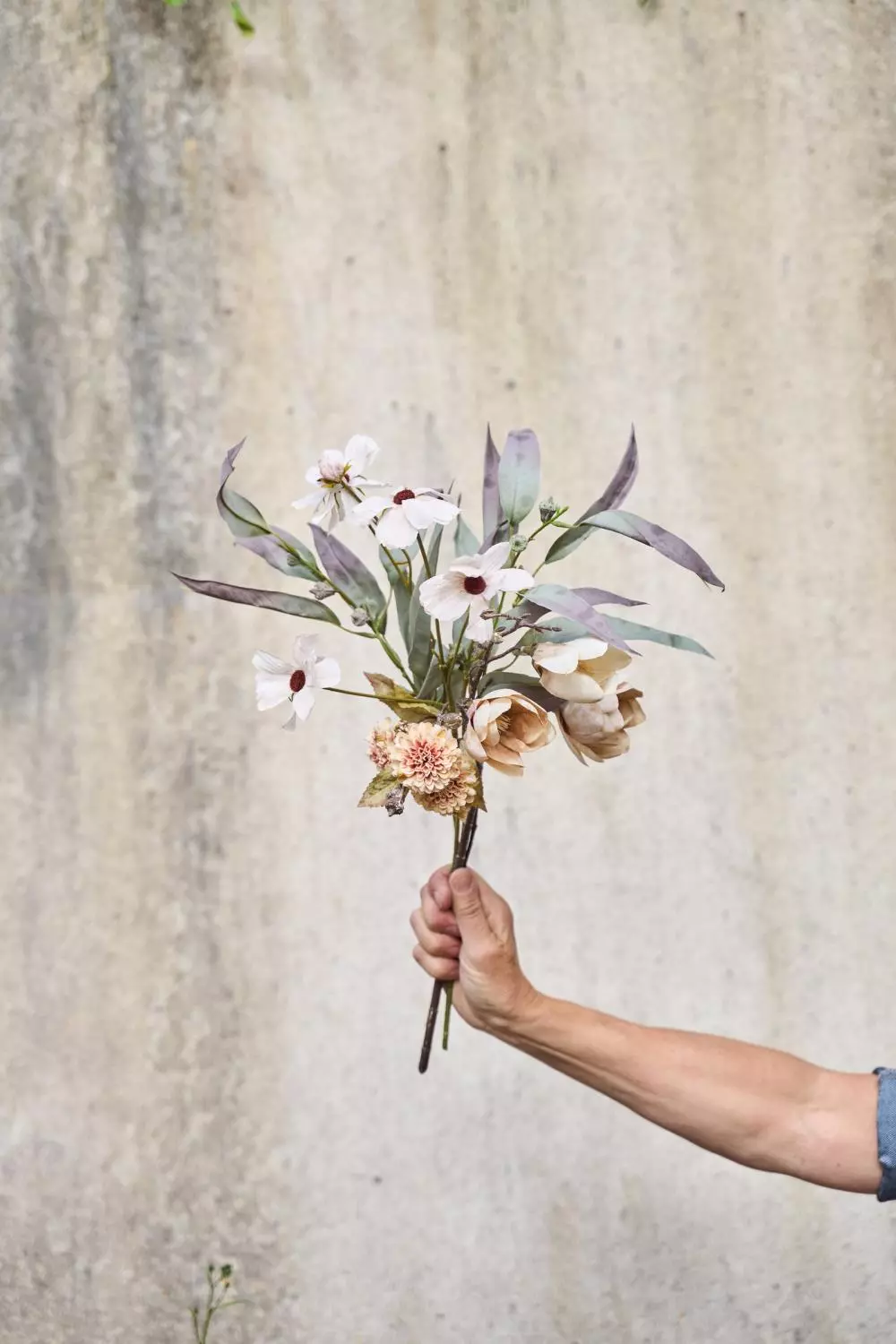 gallery-43880-for-125840