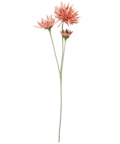 Georgin Stilk - Rose