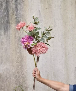 gallery-43881-for-125841