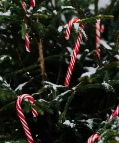 gallery-43982-for-125966