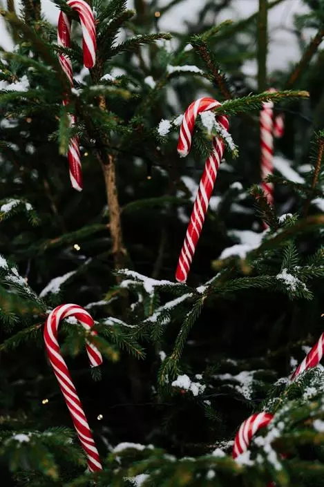 gallery-43982-for-125966