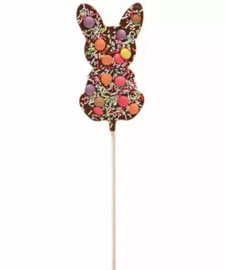 Rabbit Chocolate Lollipop