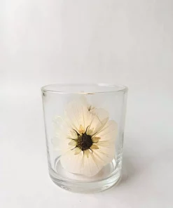 gallery-44294-for-126318