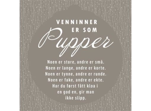 BC Servietter Lunch,Venninner er som pupper....