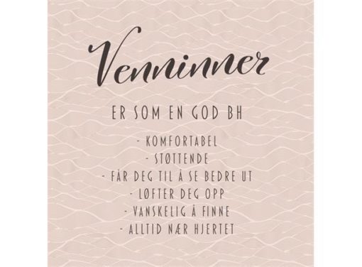 Serviett lunsj 20 stk BH venninne