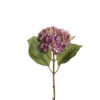 Mr Plant Hortensia rosalilla