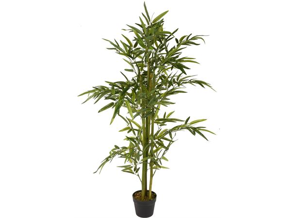BC Plante Bambus i Potte 75x75x130 cm