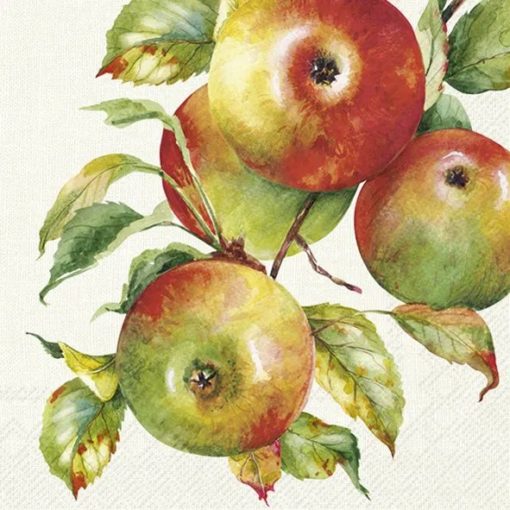 IHR Servietter kaffe 25x25, HOME GROWN APPLES cream