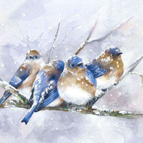 IHR Servietter lunch 33x33 cm, CUDDLY BIRDIES, blue