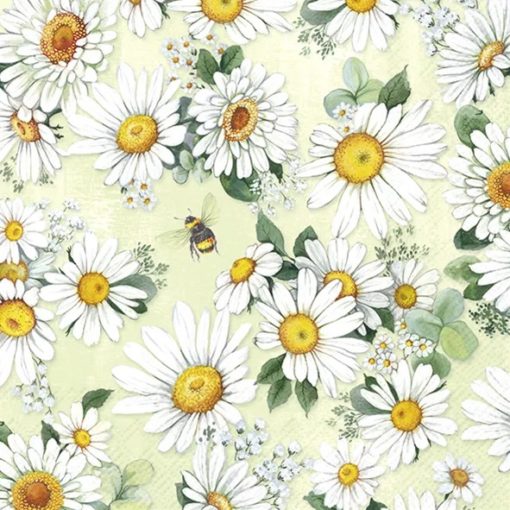 Ihr Servietter Kaffe DAISIES WREATH light green