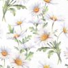 Ambiente Servietter Lunch BEAUTIFUL DAISIES white