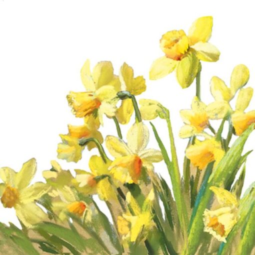 Ambiente Servietter Kaffe GOLDEN DAFFODILS