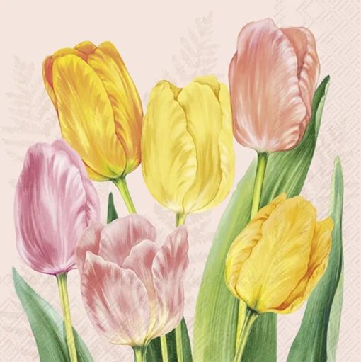 Ihr Servietter Lunch SPRING TULIPS rose