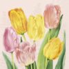 Ihr Servietter Kaffe SPRING TULIPS rose