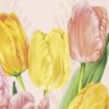 Ihr Servietter Buffet SPRING TULIPS rose