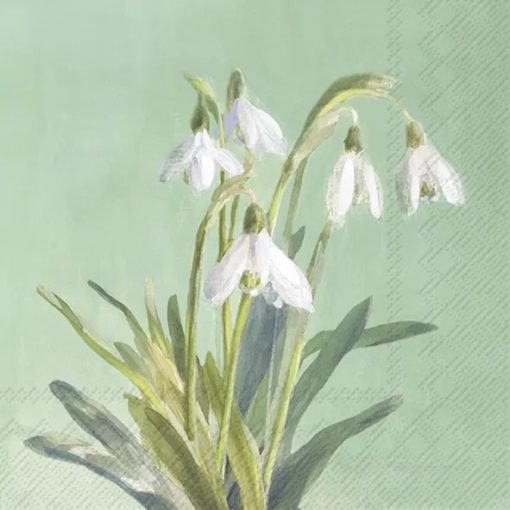 Ihr Servietter Lunch BUNCH OF SNOWDROPS green