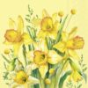 Ihr Servietter Lunch NARCISSUS BOUQUET yellow