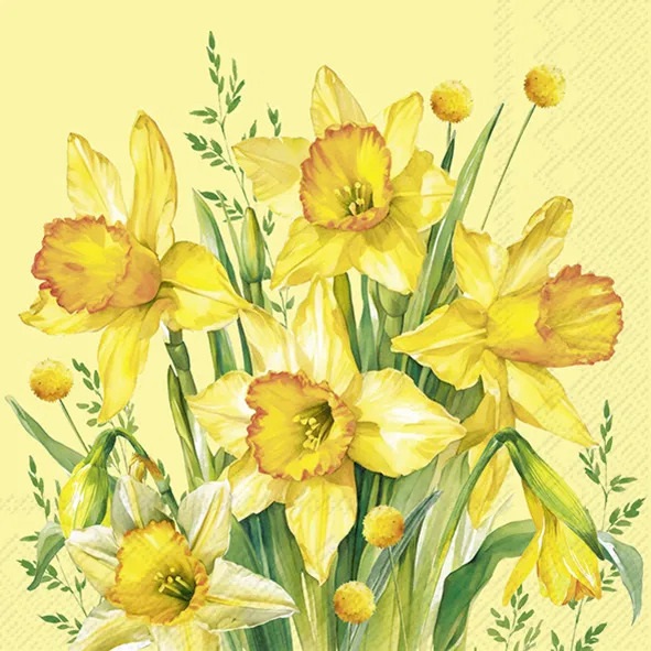 Ihr Servietter Lunch NARCISSUS BOUQUET yellow