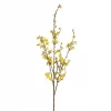 Mr Plant Forsythia