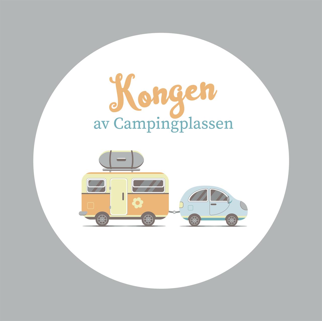 BC Serviett Lunch 33x33cm Kongen av Campingplassen