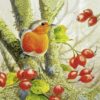 IHR Servietter Lunch 33x33 , ROBIN IN THE FOREST