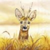 IHR Servietter Lunch 33x33 , DEER